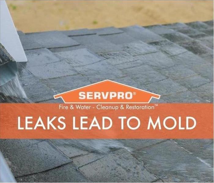 SERVPRO Leaks lead to mold roof